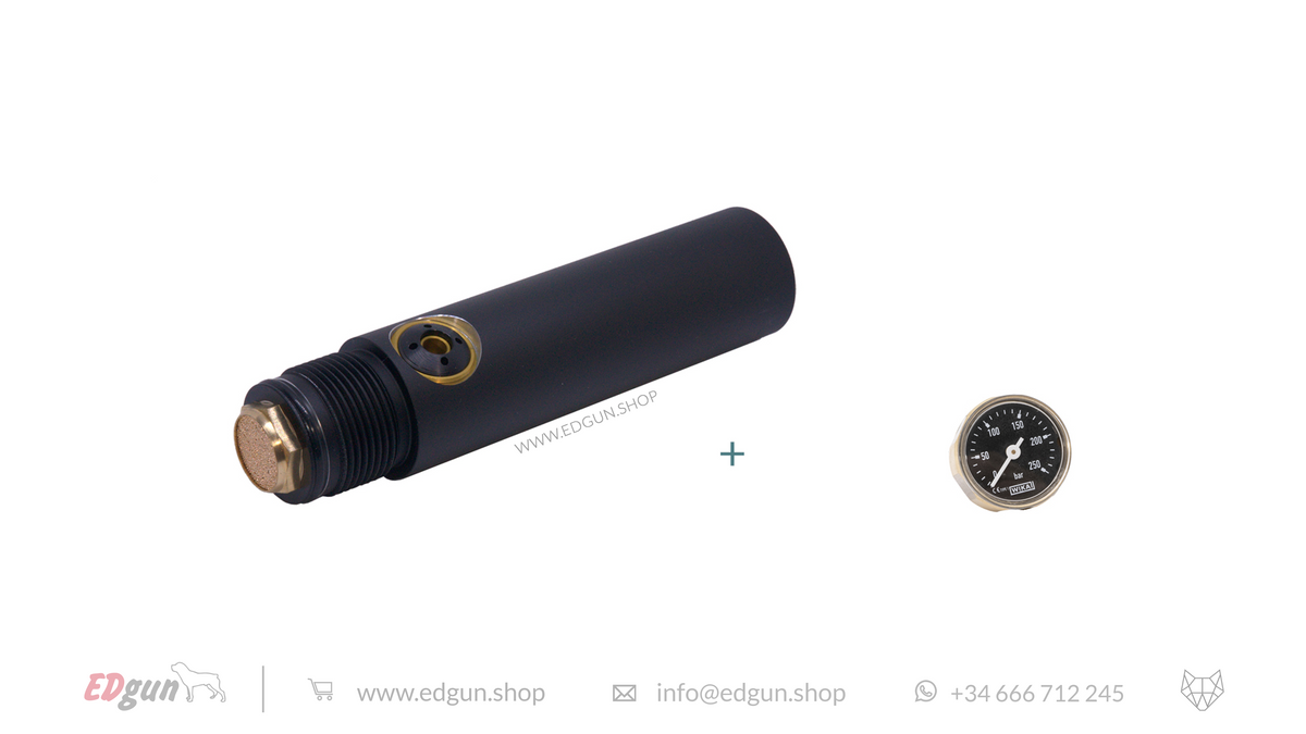 Externally Adjustable Regulator for Leshiy 2